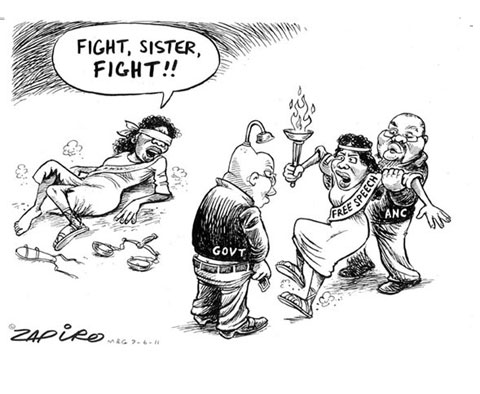 Zapiro image3